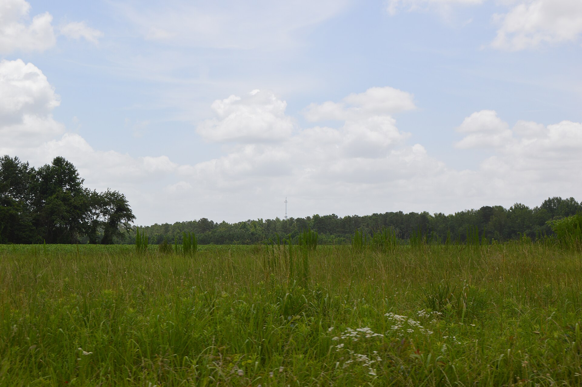 Historic view — Jones County