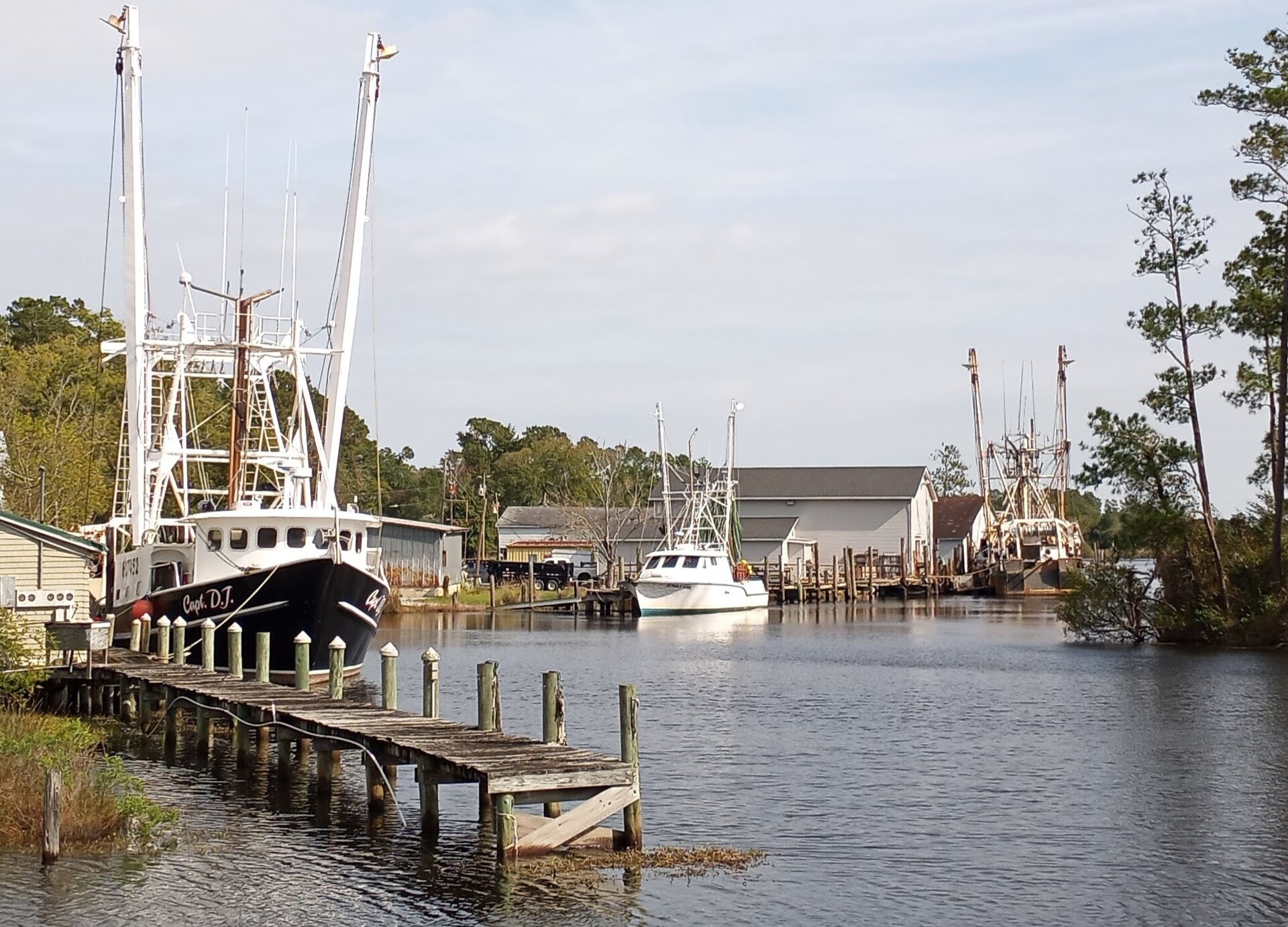 Historic view — Bayboro, Pamlico County